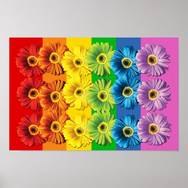 Póster Rainbow Daisies (Frente)