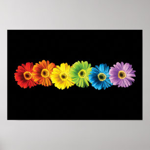 Poster Rainbow Daisies