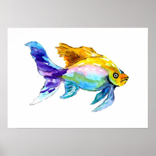 Poster Rainbow Goldfish