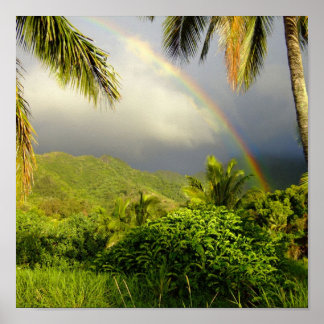 Poster Rainbow-Hakipuu