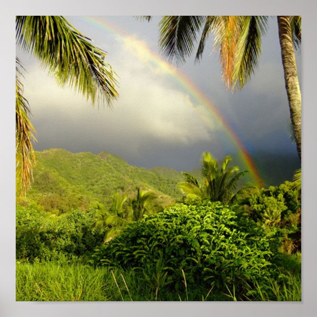 Poster Rainbow-Hakipuu (Frente)