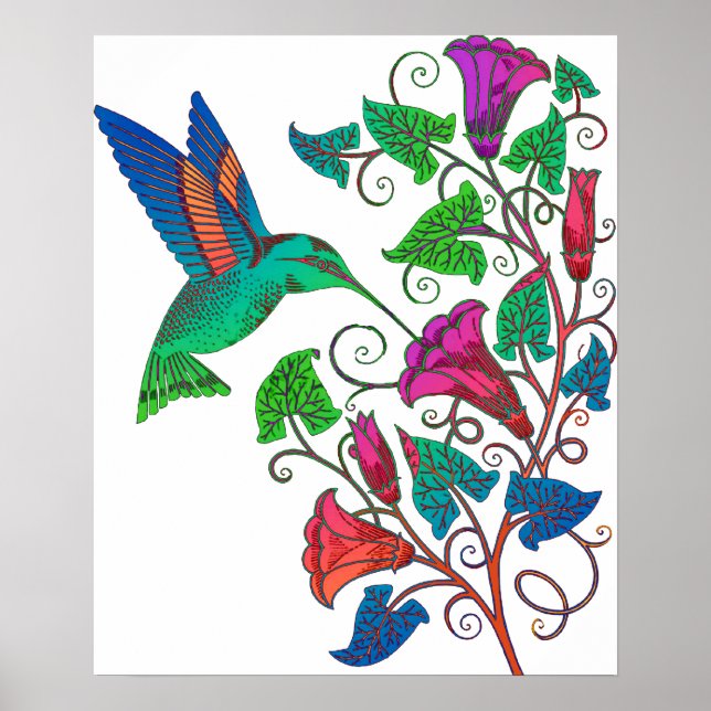 Póster Rainbow Hummingbird (Frente)