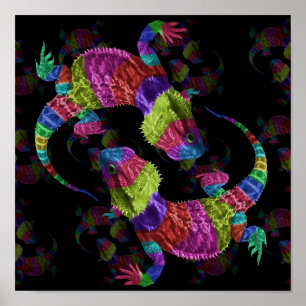 Póster Rainbow Lizards