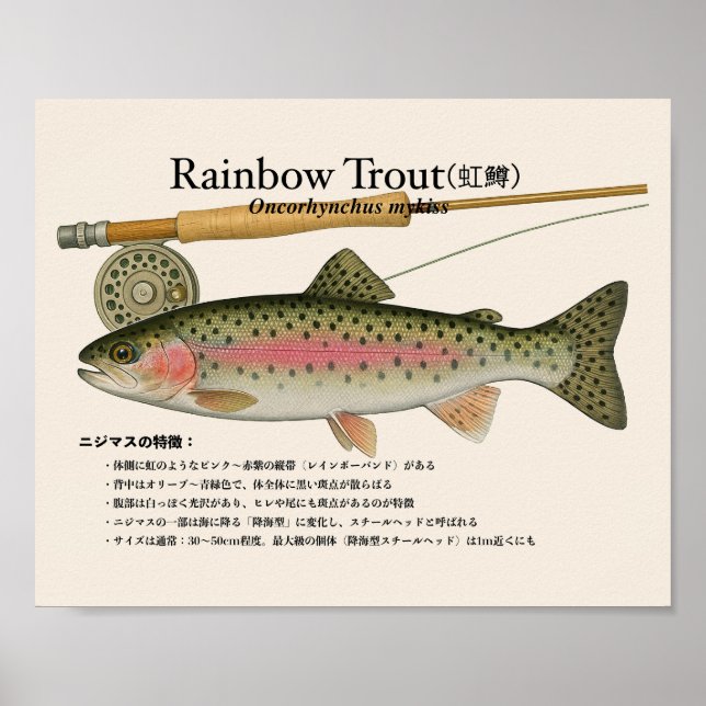 Poster Rainbow Trout – japanese Art Print (Frente)