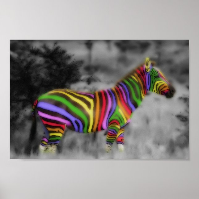 Póster Rainbow Zebra (Frente)