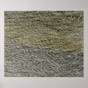 Póster Raindrop Ripula Natureza Fotografia de Água