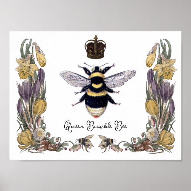 Poster Rainha Bumble Bee em Quadro Flor (Frente)