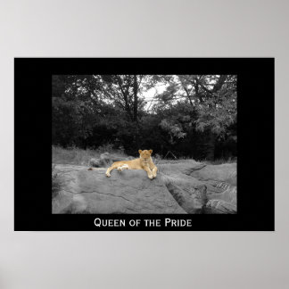Poster Rainha do Orgulho