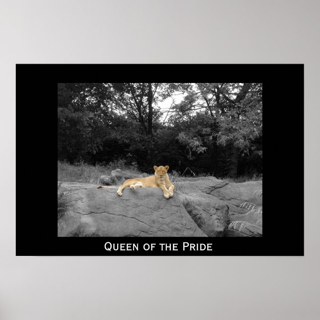 Poster Rainha do Orgulho (Frente)