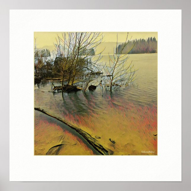 Poster Rainy Day (Frente)