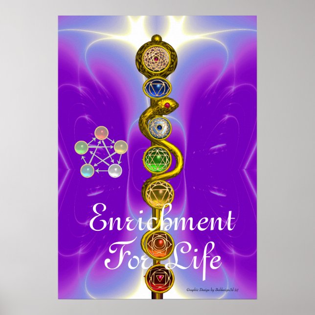 POSTER RAIO DE ASCLEPIUS 7 CHAKRAS,YOGA, ENERGIA ESPIRITU (Frente)