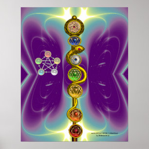 PÓSTER RAIO DE ASCLEPIUS 7 CHAKRAS,YOGA, ENERGIA ESPIRITU
