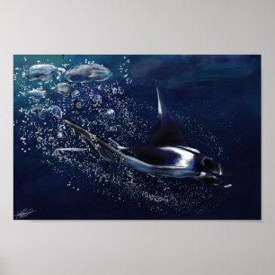 Póster Raio de Manta