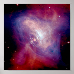 Póster Raio X combinado e imagens ópticas do caranguejo