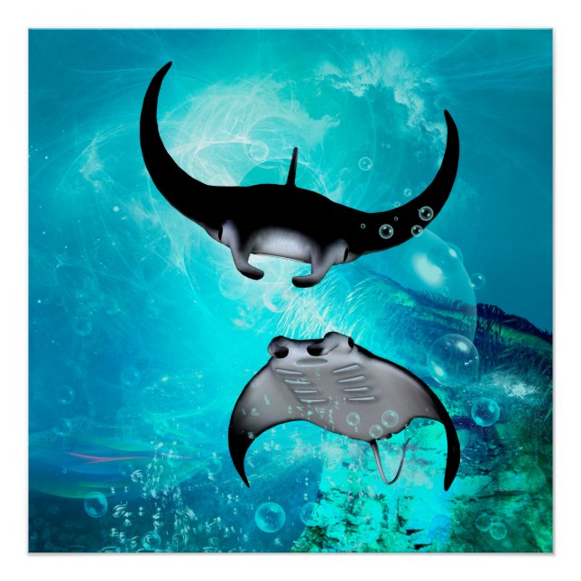 Póster Raios de natação (Frente)