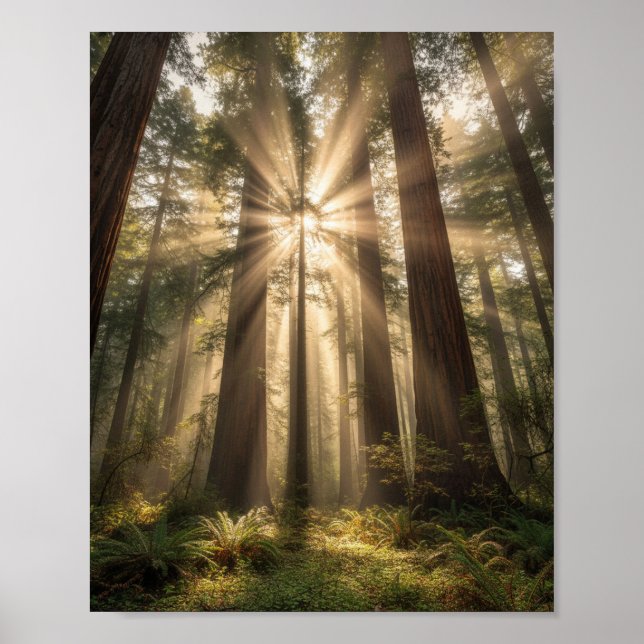 Poster Raios de Sol Através de Gigantes Antigos (Frente)