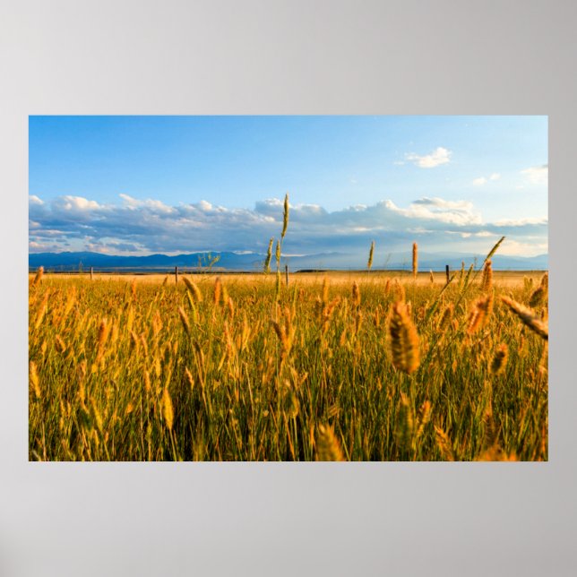 Póster Raios de sol sobre campo de trigo com montanhas (Frente)