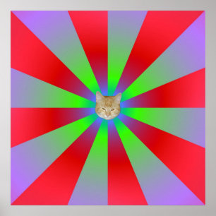 Póster Raios de sol vermelhos verdes e do Lilac + Gato