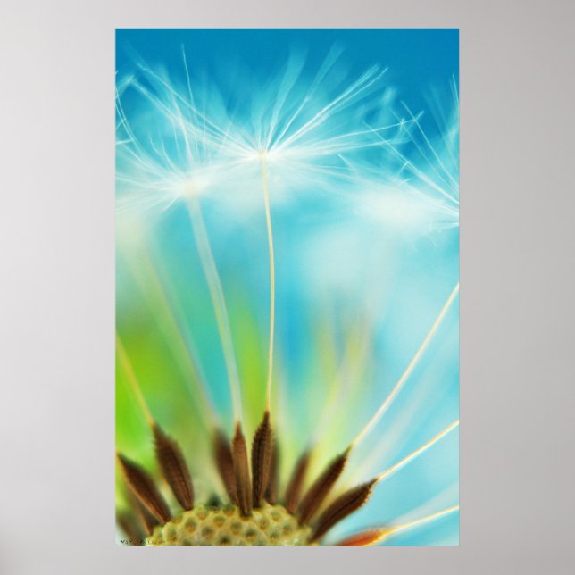 Poster Raios Leiteiros (Frente)