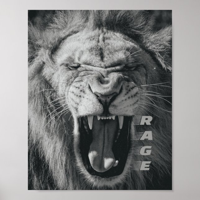 Poster Raios Leões Pretos e Brancos (Frente)