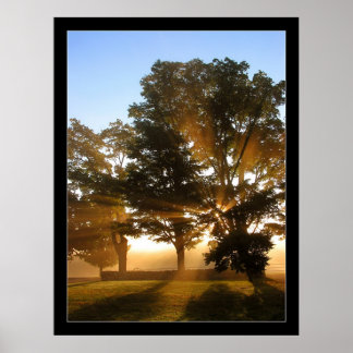 Poster Raios leves 4