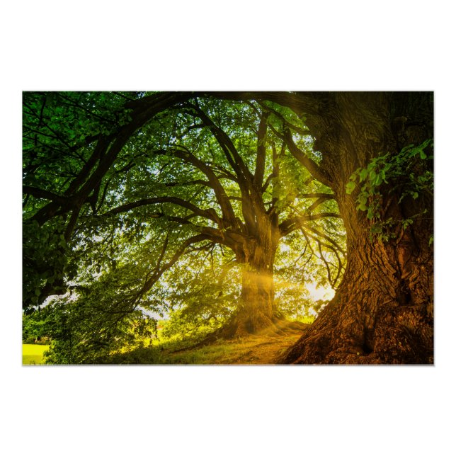 Póster raios solares (Frente)