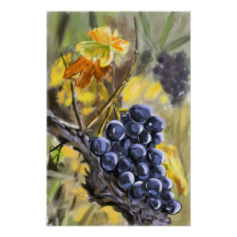 Póster Raisins sur la souche de vigne, provence.