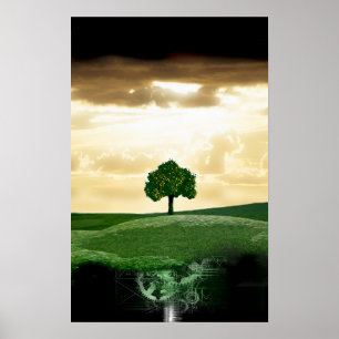 Póster raiz mecânica