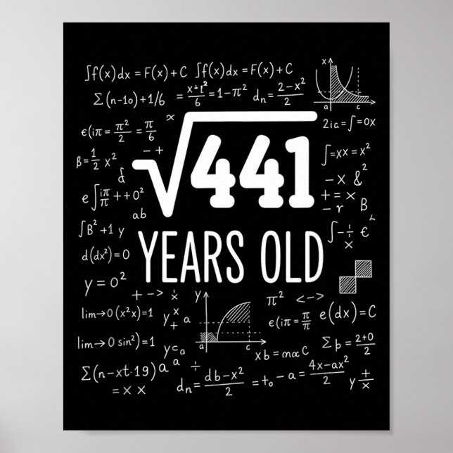 Poster Raiz Quadrada de Matemática 441 Anos, Matemática I (Frente)