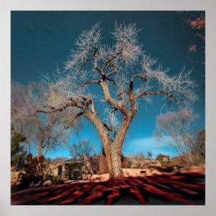 Póster Raízes antigas da estrada de Canyon