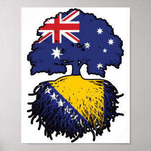 Poster Raízes de Árvore Australiana da Bósnia e da Austrá
