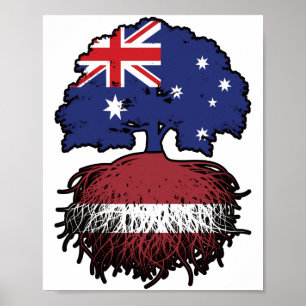 Poster Raízes de Árvore Australianas da Letónia