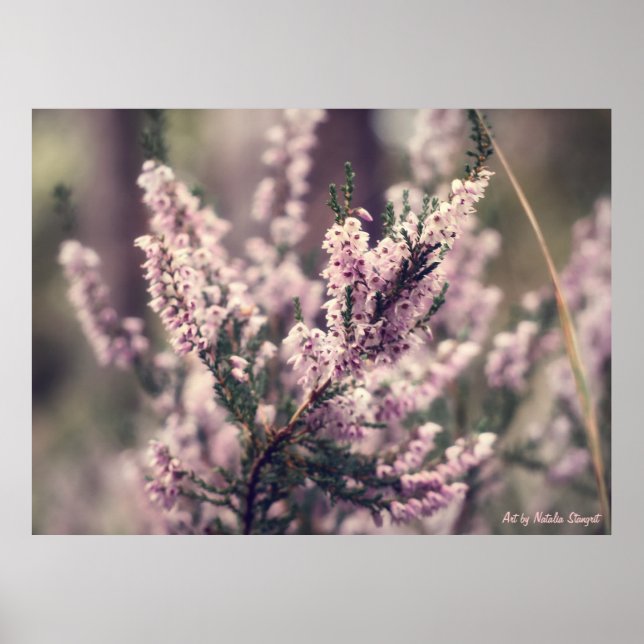 Póster Rajado (Frente)