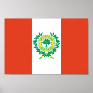 Póster Raleigh, bandeira de North Carolina