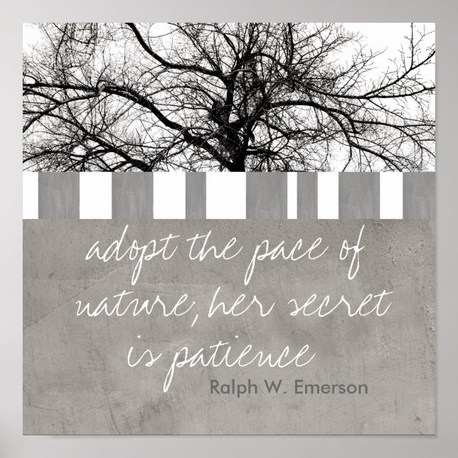poster Ralph W Emerson cita a arte da fotografia d (Frente)