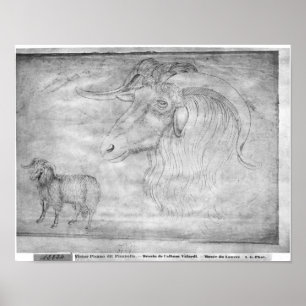 Poster Ram e cabeça de uma ram