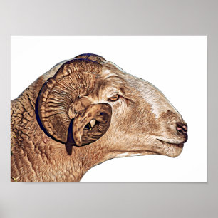 Poster Ram Sheep Face Fazenda Natureza animal arte 