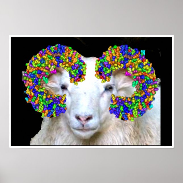 Póster Ram tipo Toll (Frente)