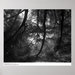 Póster Ramais, ao sol, Papais noeis Cruz de UC, 1963