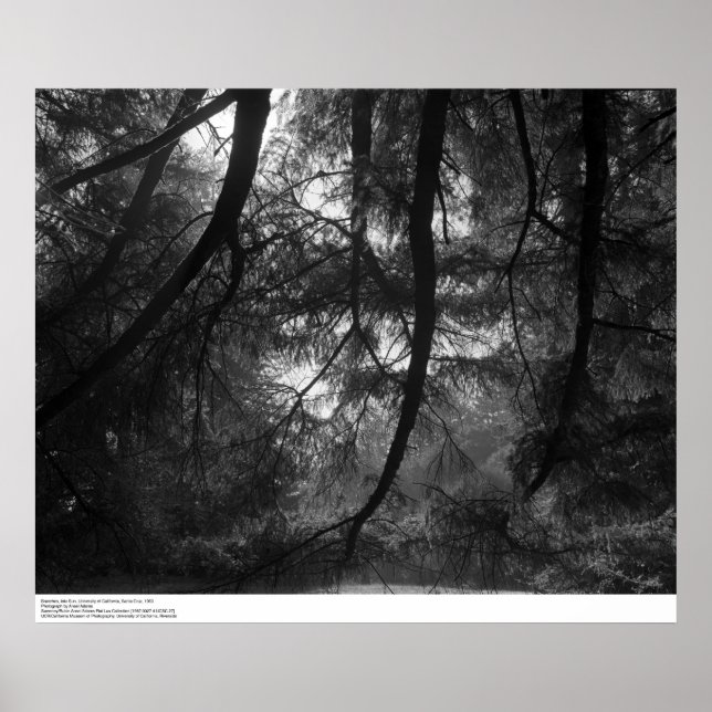 Póster Ramais, ao sol, Papais noeis Cruz de UC, 1963 (Frente)