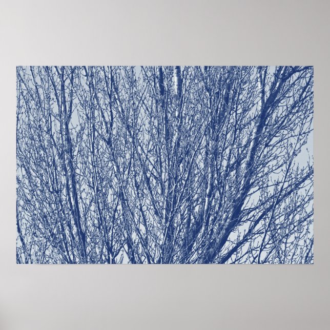 Póster Ramais de Birch - Efeito de Cianótipo (Frente)