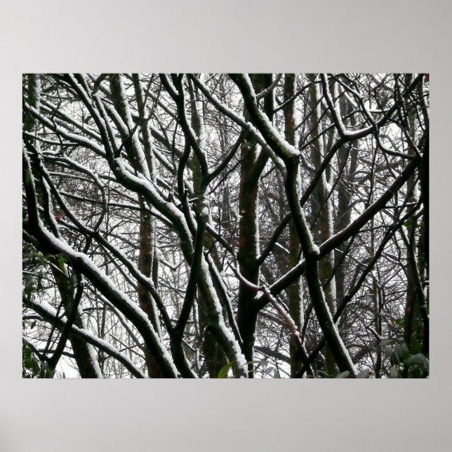 Póster Ramais de inverno (Frente)
