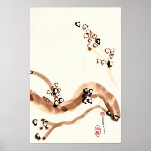 Póster Ramais de Oak