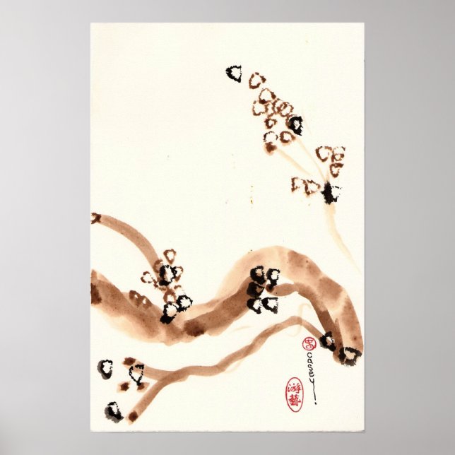 Póster Ramais de Oak (Frente)