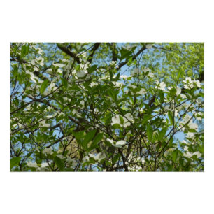 Póster Ramais de Primavera de Lagostas