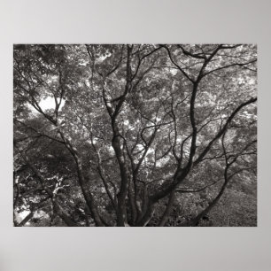 Poster Ramais Japoneses II