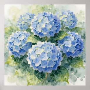 Poster Ramalhete de Hortênsias Azuis em Aquarela