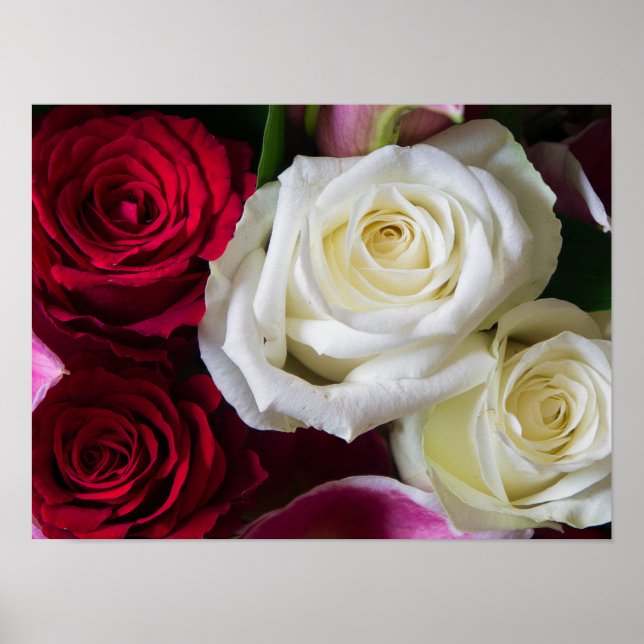 POSTER RAMALHETE DE ROSAS (Frente)