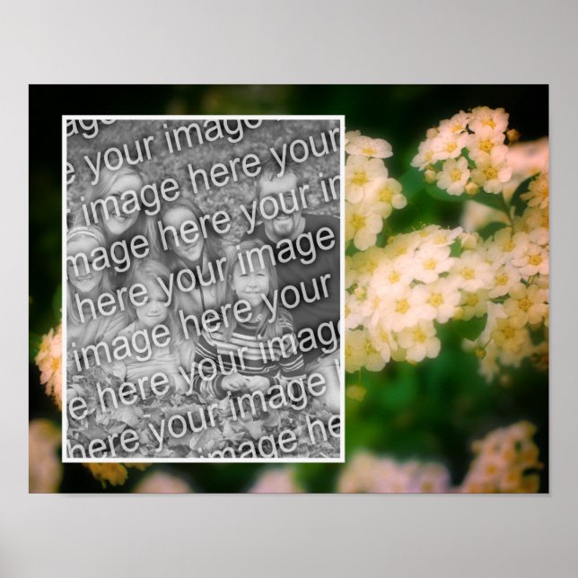 Poster Rambling Wild White Roses Adiciona Sua Foto (Frente)