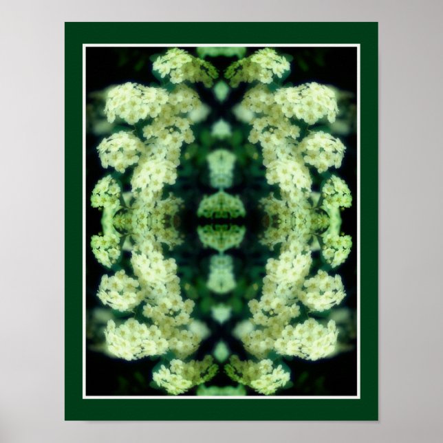Poster Rambling Wild White Roses Mirror Abstrato (Frente)